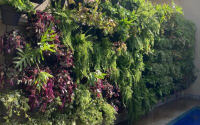 Tipos de Jardins Verticais: Qual o Melhor para o Seu Espaço?