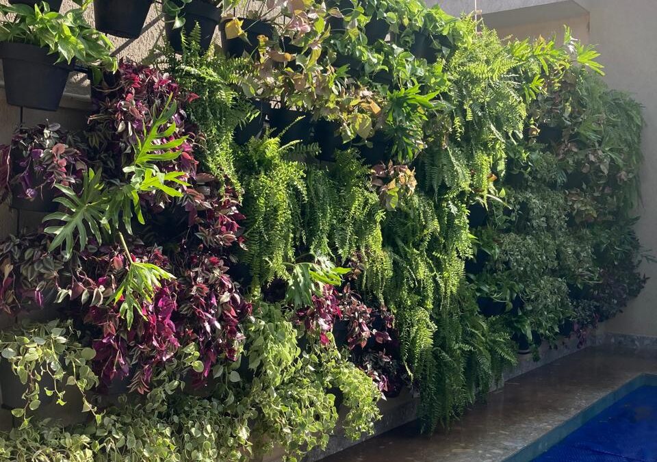 Tipos de Jardins Verticais: Qual o Melhor para o Seu Espaço?