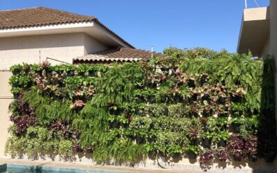Manutenção de Jardins Verticais: Como Garantir a Saúde das Suas Plantas