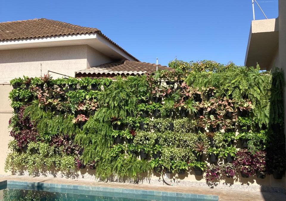 Manutenção de Jardins Verticais: Como Garantir a Saúde das Suas Plantas