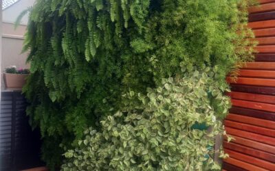 Por Que Escolher um Jardim Vertical Vivo?