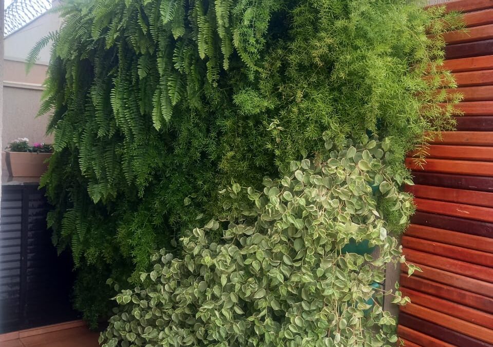 Por Que Escolher um Jardim Vertical Vivo?