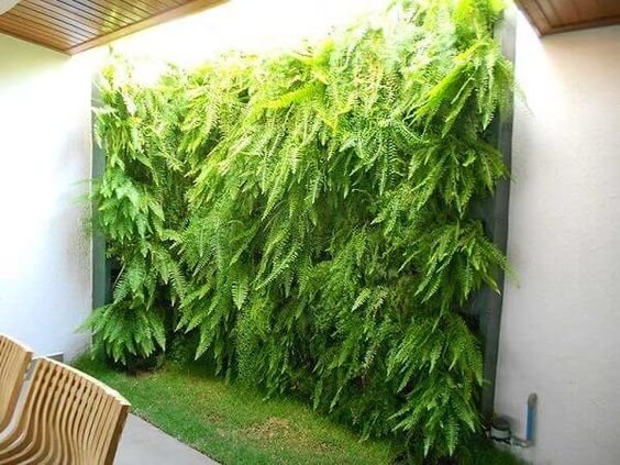 Jardim Vertical