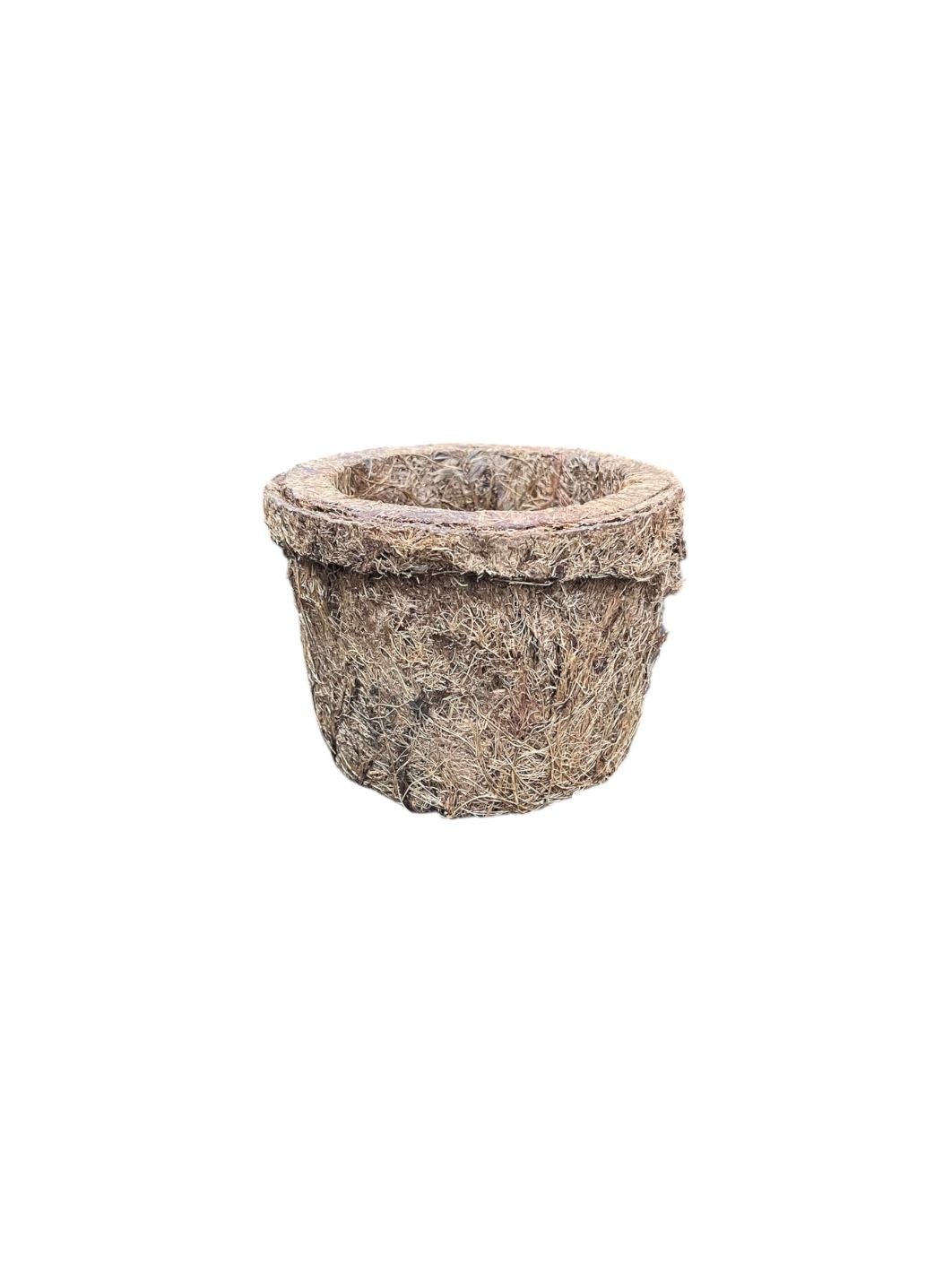 VASO MINI FIBRAS PÍNCEL FIBRA DE COCO