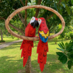 Decoração