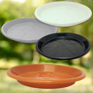 Prato para Vasos e Plantas