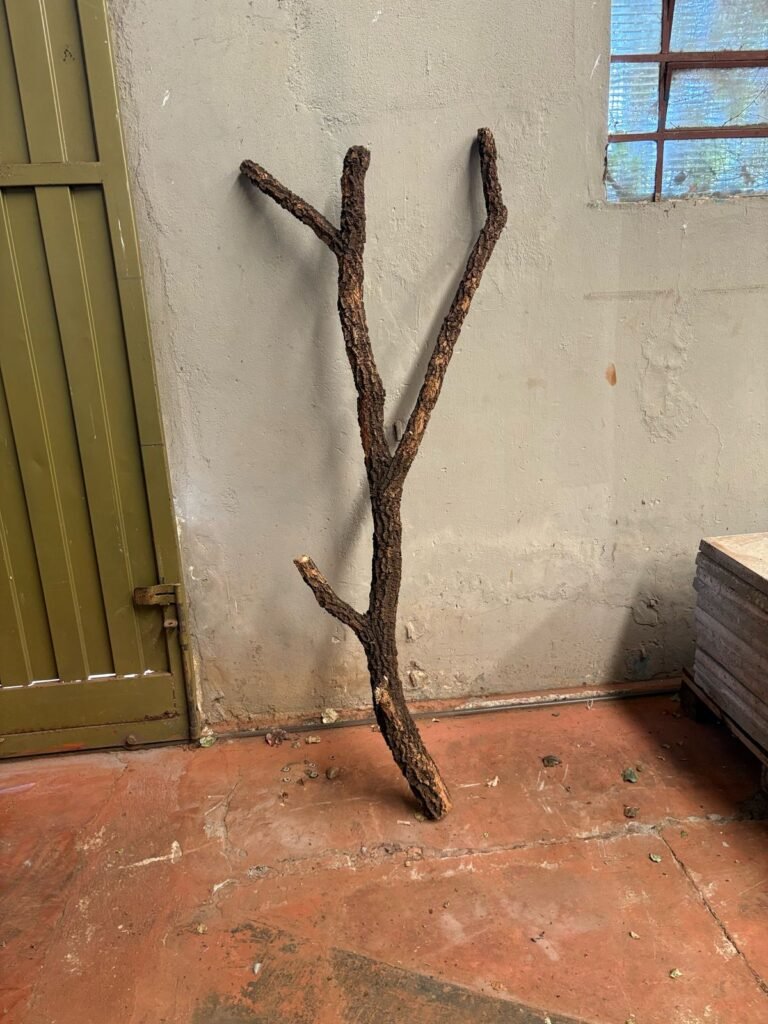 TRONCO DE ANGICO PARA ORQUIDEA 1.50cm tamanho:1.50cm