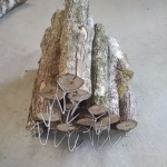 Tronco seco